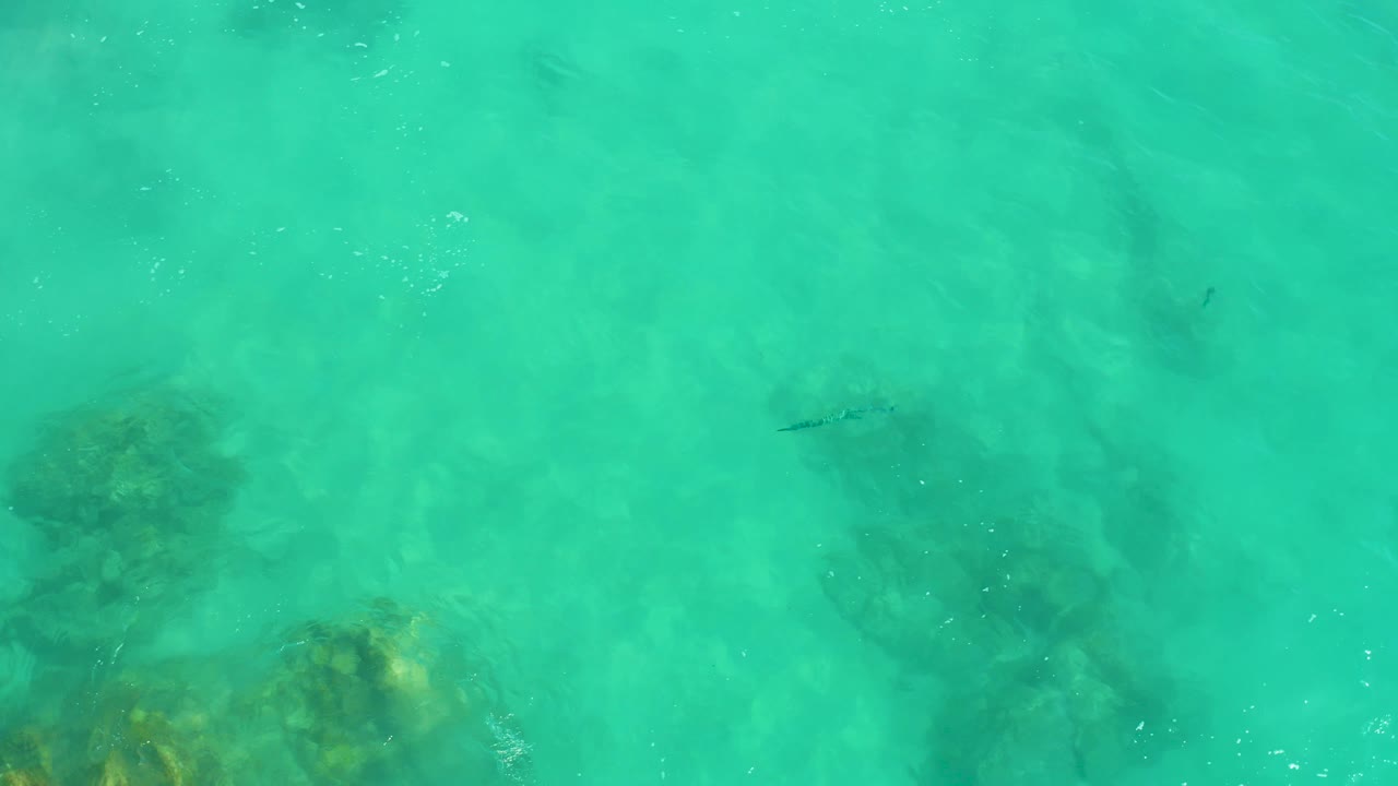 A later overhead view at Dreams Los Cabos shows the same turquoise water with a darker rock patch lower in frame and a small fish shape crossing the clearer midwater, with no visible people.