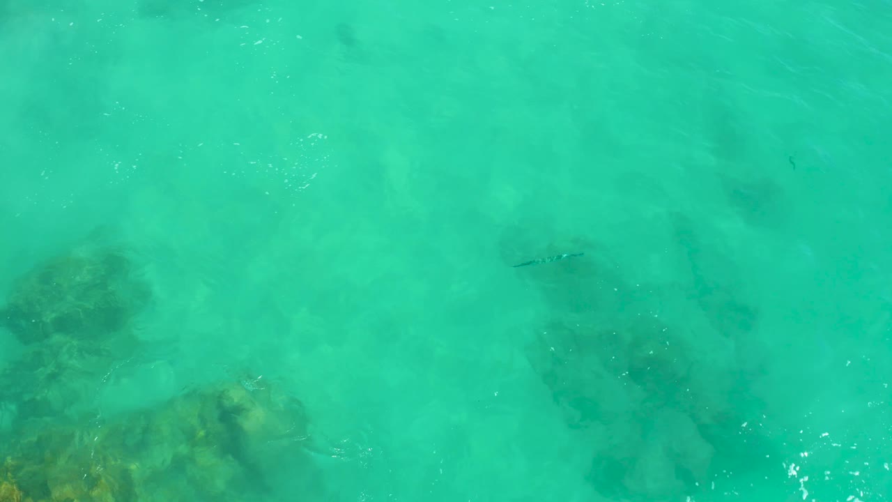 Turquoise shallow water at Dreams Los Cabos reveals a dark submerged rock cluster near the bottom edge and small fish silhouettes in the open water above, with no visible people.