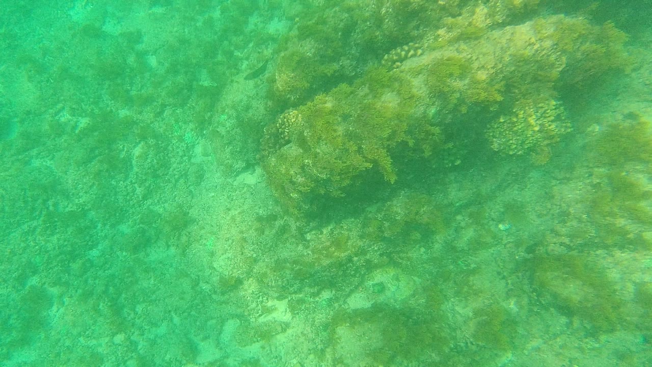 The frame shows clear green-blue water in Palmilla Los Cabos over uneven rocks, coral clusters, and sparse seagrass, with no visible people.