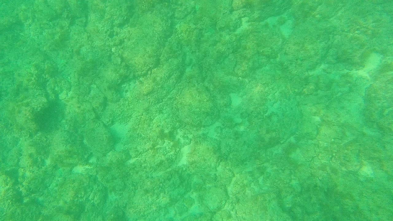 Underwater view in Palmilla Los Cabos with mottled rocks, small pale bottom patches, and soft green light across the seabed, with no visible people.