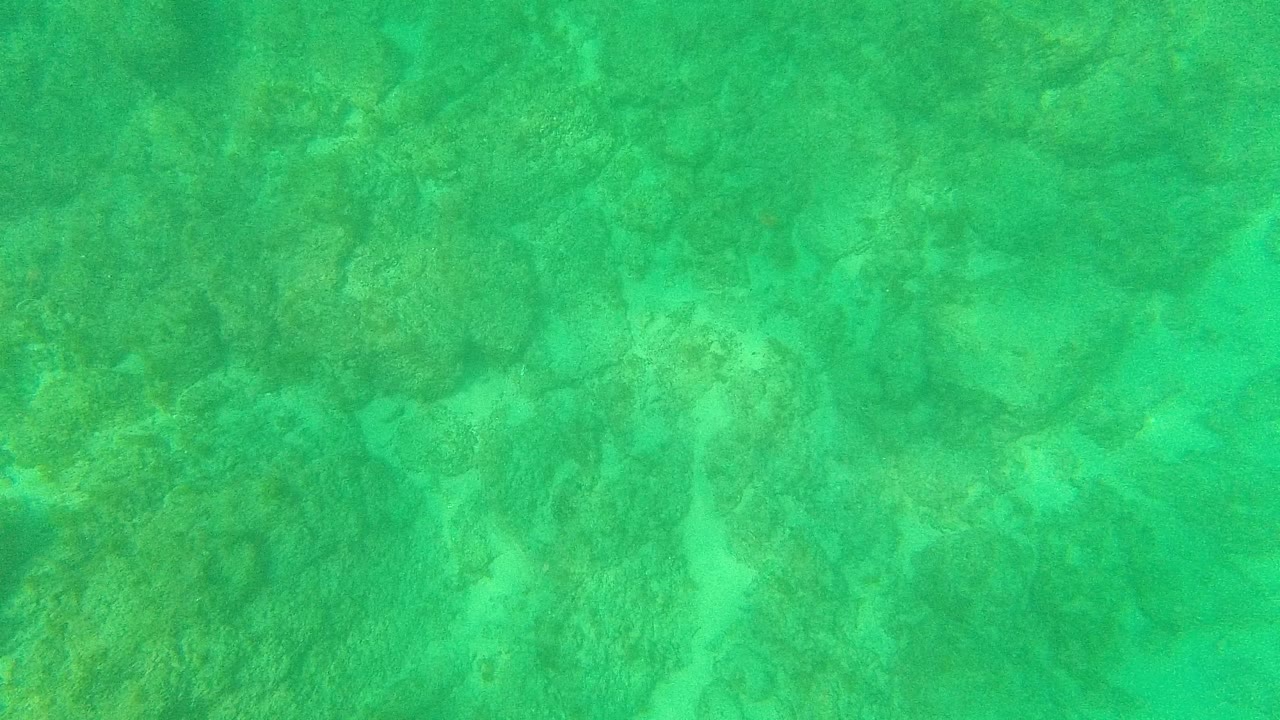 Turquoise-green underwater view of a rocky seabed at Palmilla Los Cabos, Baja California Sur, with no visible people.