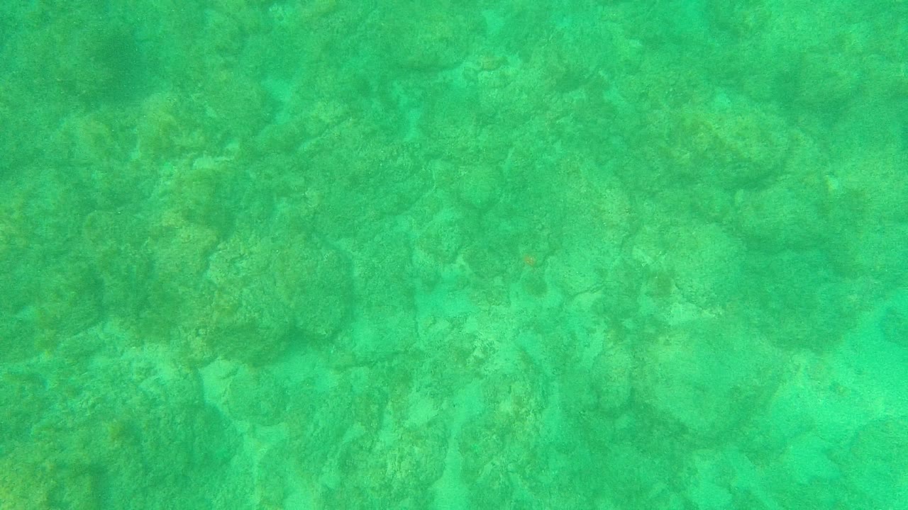Rocky seabed and reef-like shapes show through turquoise water at Palmilla Los Cabos, Baja California Sur, with no visible people.