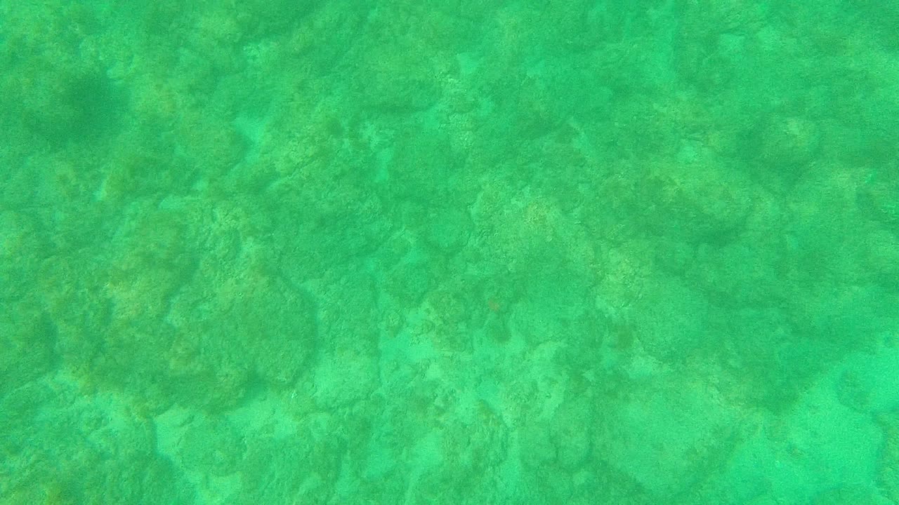 Underwater rocks sit beneath green-turquoise surface shimmer in the Palmilla Los Cabos clip, with no visible people.