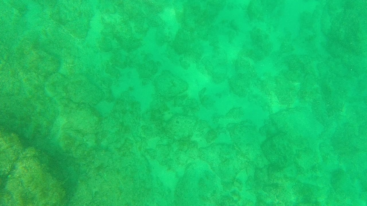 Turquoise shallow water over coral and rock formations.