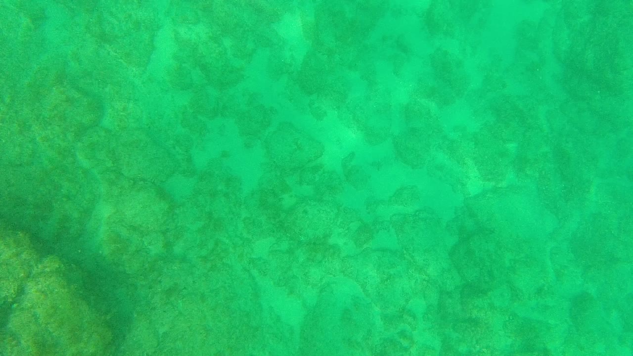 Clear green-blue water reveals soft-edged coral and rock shapes below the surface in Palmilla Los Cabos, with no visible people.