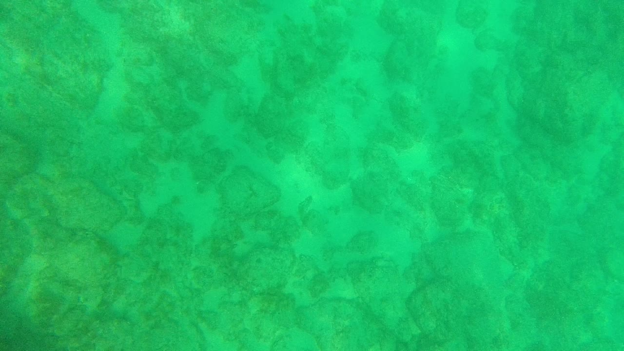 Rippled turquoise water shows darker coral patches and pale sandy gaps beneath in Palmilla Los Cabos, Mexico, with no visible people.