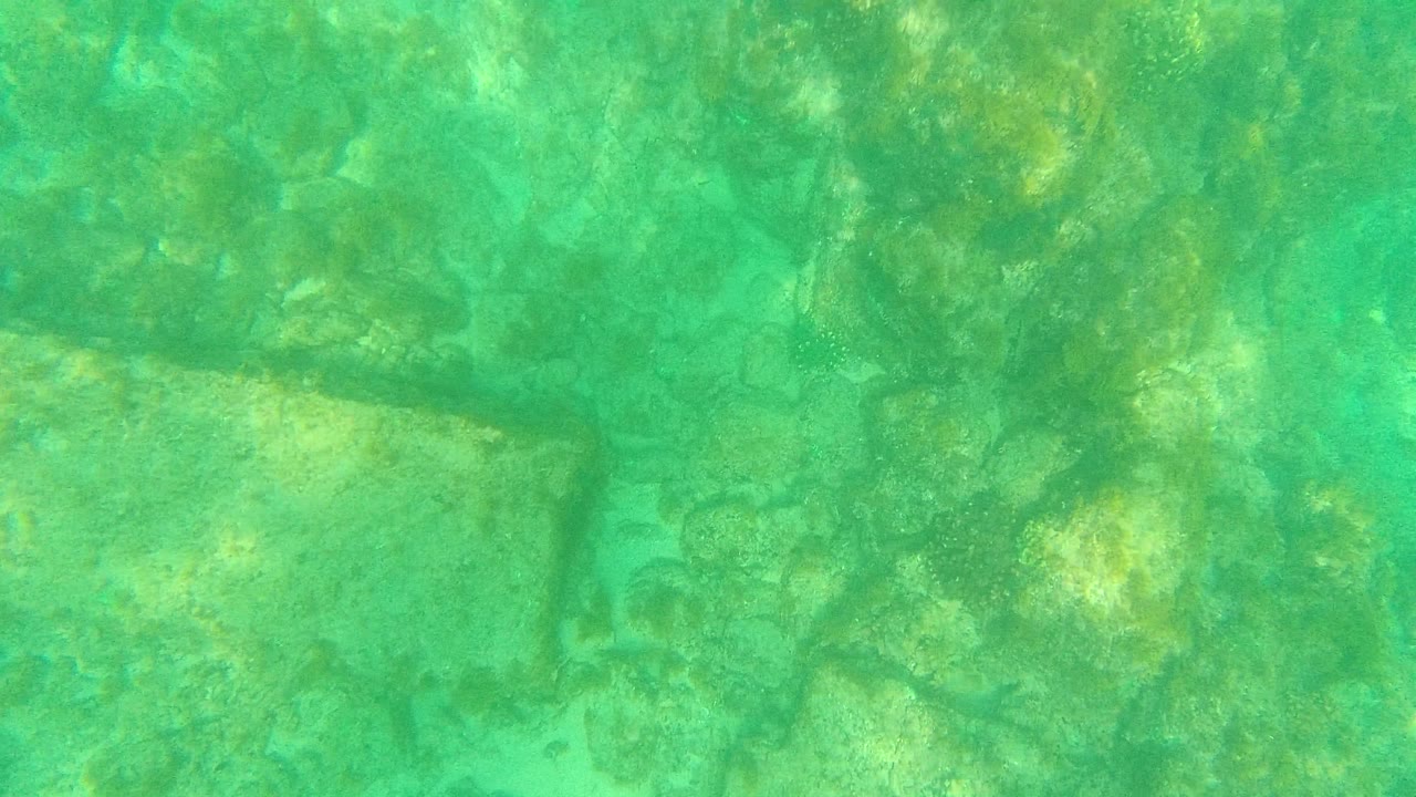 Downward underwater frame from Palmilla Los Cabos with pale stone slabs crossing the lower area and darker rock texture above, with no visible people.