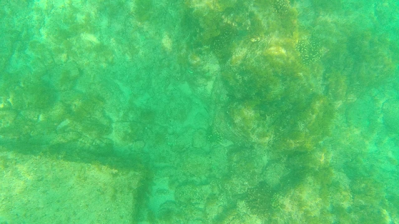 Mid-clip Palmilla Los Cabos frame showing turquoise water, uneven underwater rocks, sandy-green patches, and soft mottled sunlight, with no visible people.