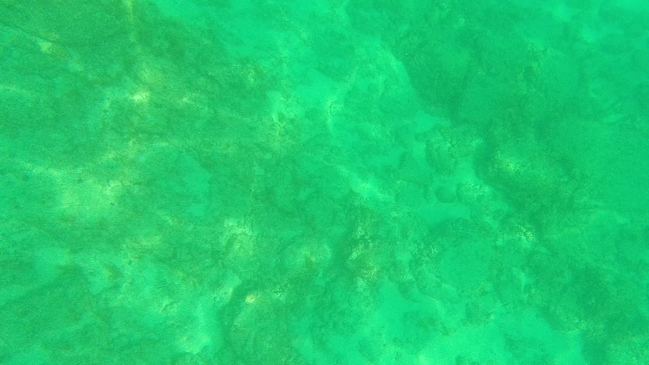 Turquoise underwater view over a sandy rocky seabed.