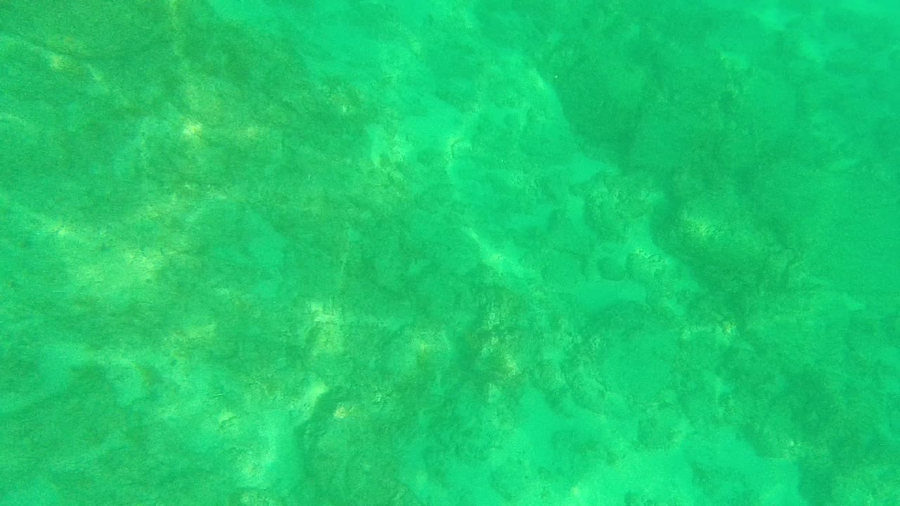 Early frame from Palmilla Los Cabos with green-turquoise water, uneven rock patches, sandy bottom, and no visible people.