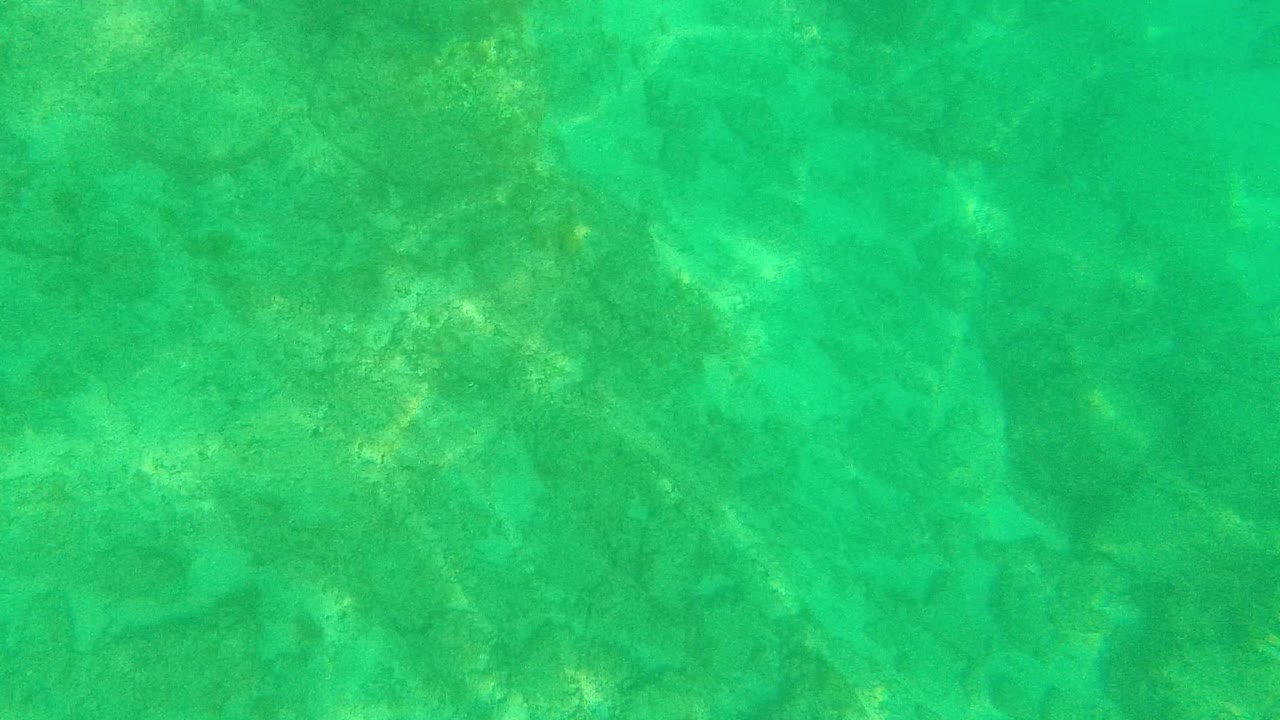 Mid-early underwater frame from Palmilla Los Cabos showing pale rock shapes beneath clear turquoise water with no visible people.