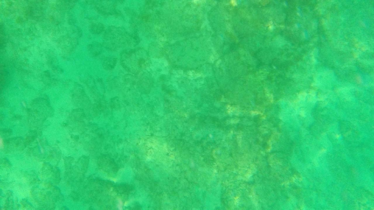 Underwater frame from Palmilla Los Cabos with green-blue water, scattered seabed rocks, soft light refraction, and no visible people.