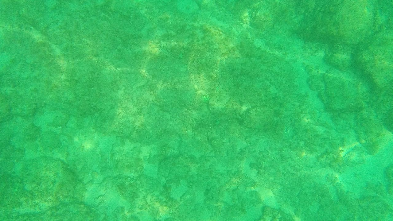 Turquoise underwater view of the rocky ocean floor at Palmilla Los Cabos, with soft dappled light and no visible people.