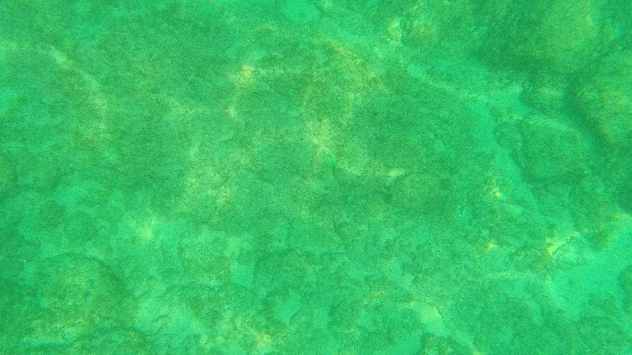 Clear green-blue water with submerged rocks