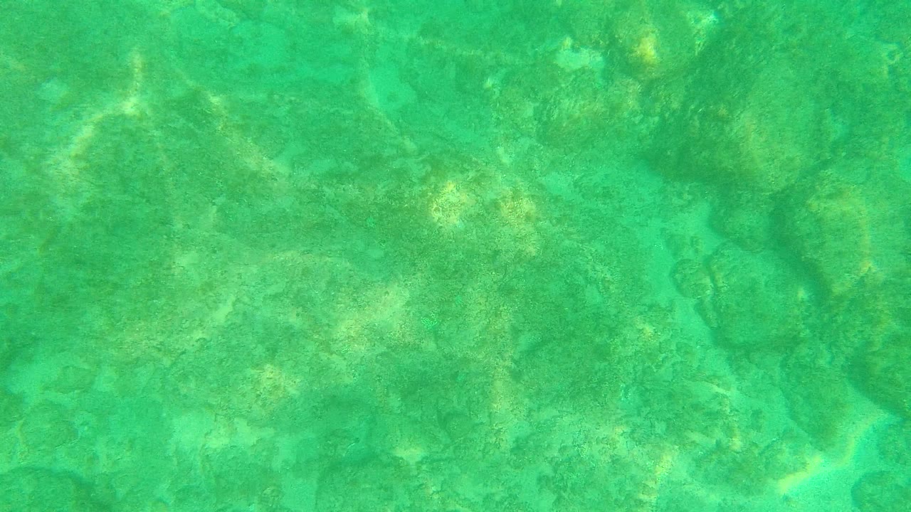 A downward underwater frame from Palmilla Los Cabos shows turquoise water, uneven seabed rock shapes, and no visible people.