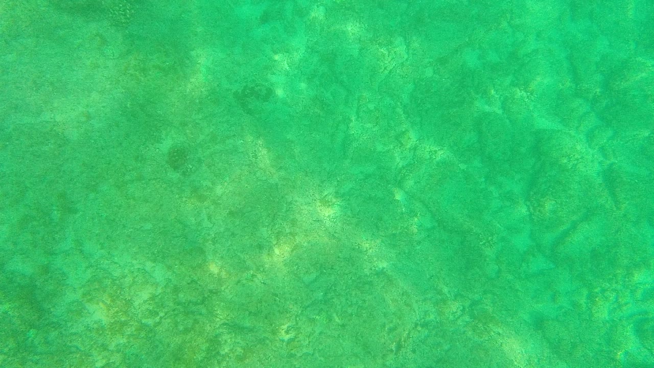 Clear turquoise water over a rocky sandy seabed.