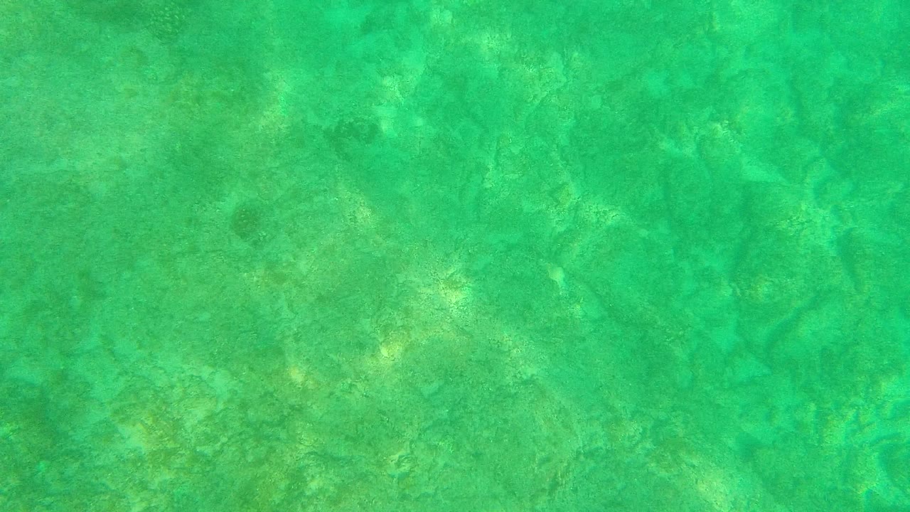 A slightly brighter green-turquoise water frame shows submerged rocks and sand under gentle ripples in Palmilla Los Cabos, with no visible people.