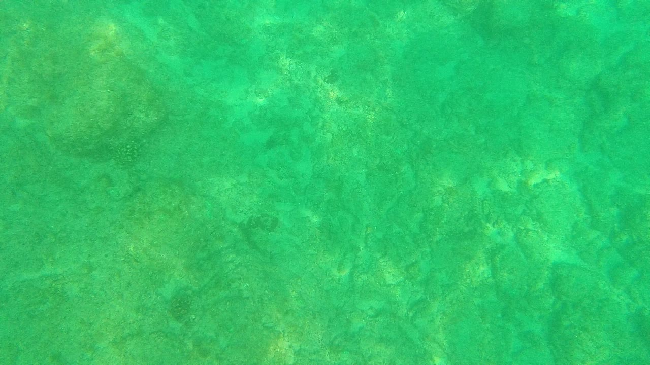 Palmilla Los Cabos shallow water fills the frame with faint rock shapes, sand color variations, and mild ripple distortion, with no visible people.