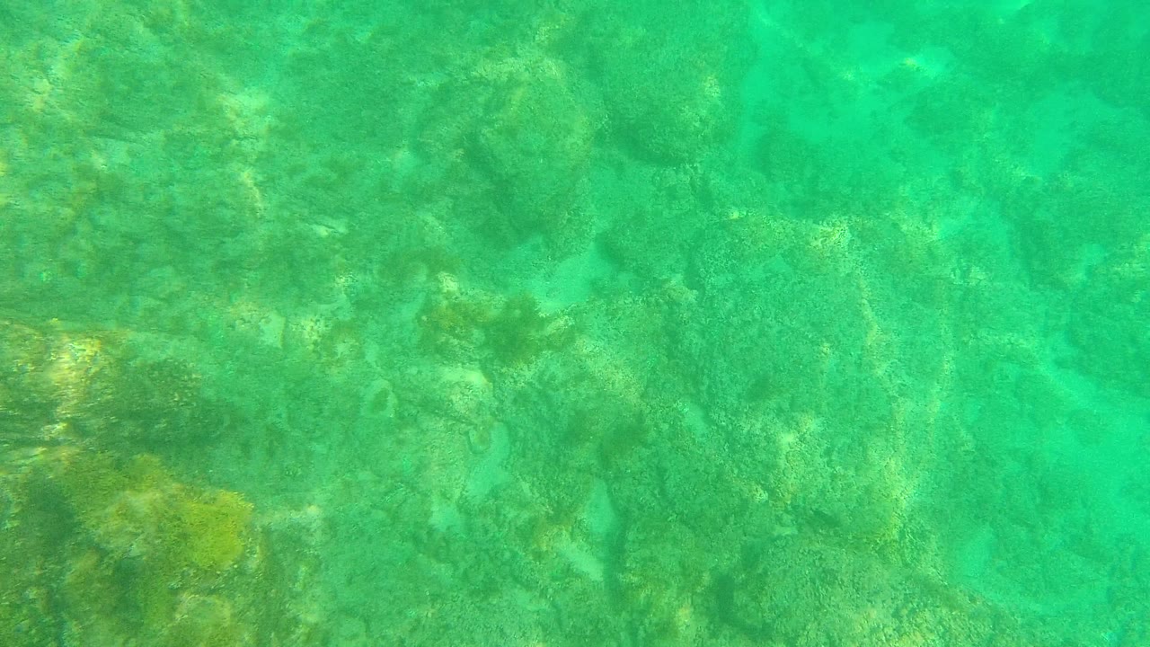 The Palmilla Los Cabos underwater view shifts over a rockier section of seabed, with faint coral color, soft water blur, and no visible people.