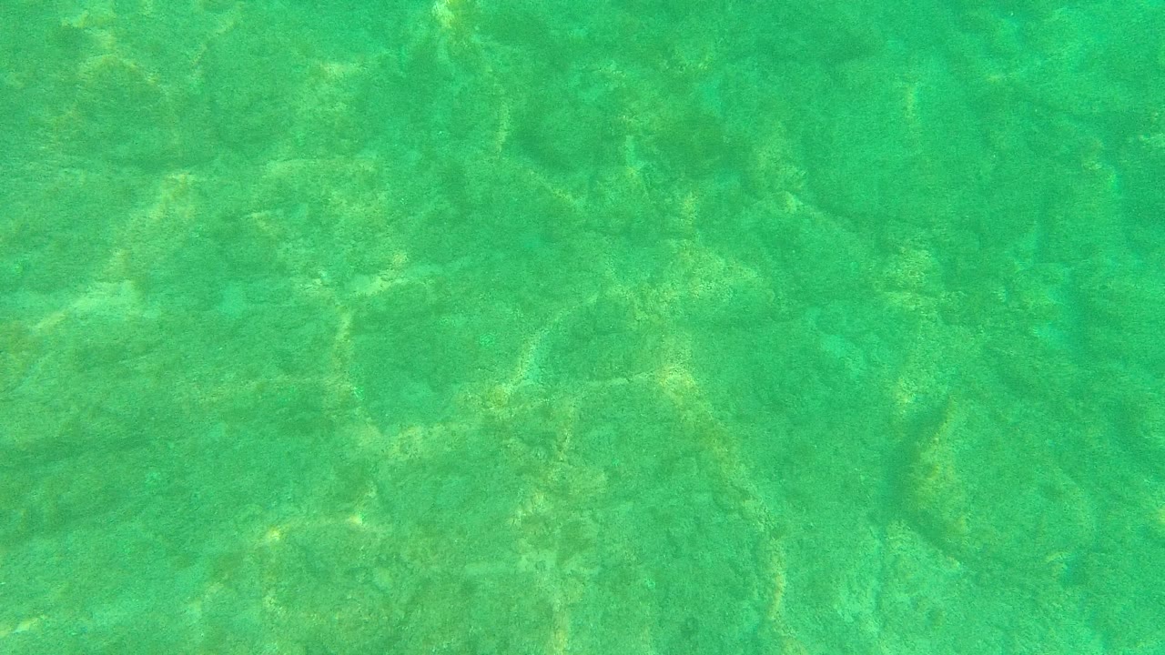 Clear turquoise-green shallow water over the Palmilla Los Cabos seabed at the start of the clip, with soft sunlight patterns and no visible people.