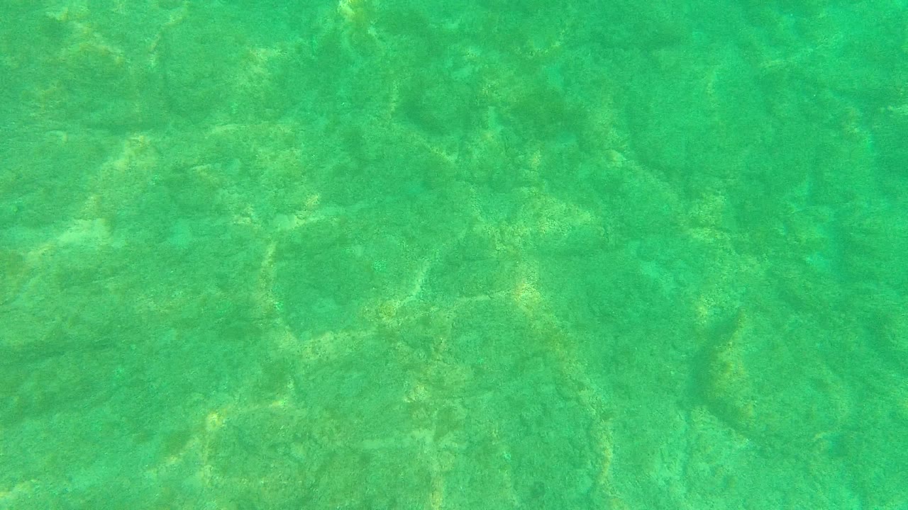 Green-blue shallow water in Palmilla Los Cabos shows brighter sunlight streaks shifting across the uneven seabed, with no visible people.