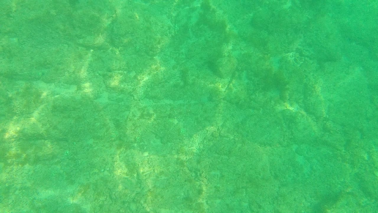 Turquoise shallow water over a mottled rocky or sandy bottom in Palmilla Los Cabos, with diffuse yellow-green light and no visible people.
