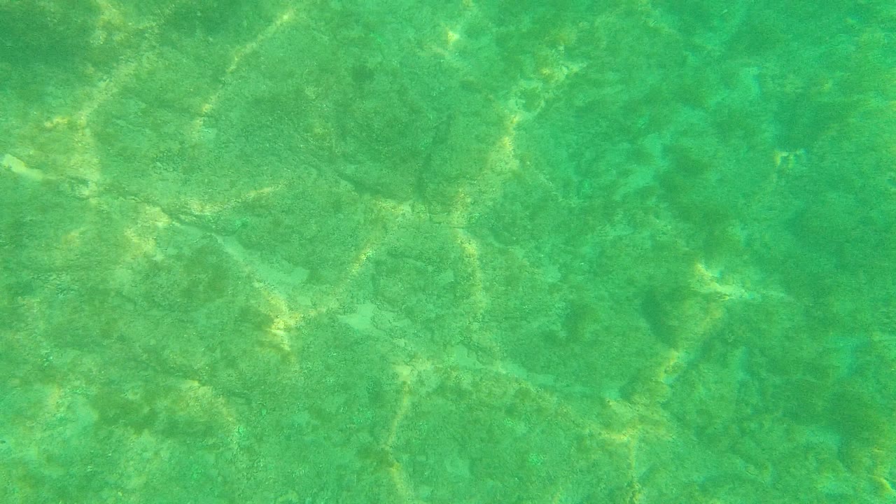 Clear shallow Palmilla Los Cabos water fills the frame, with pale sunlight patterns crossing the ocean floor and no visible people or marine life.