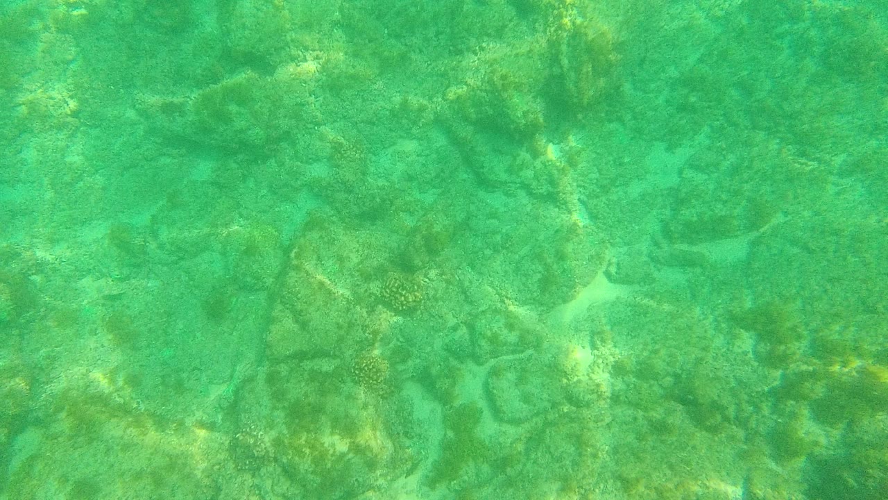 Turquoise underwater view of rocky seabed