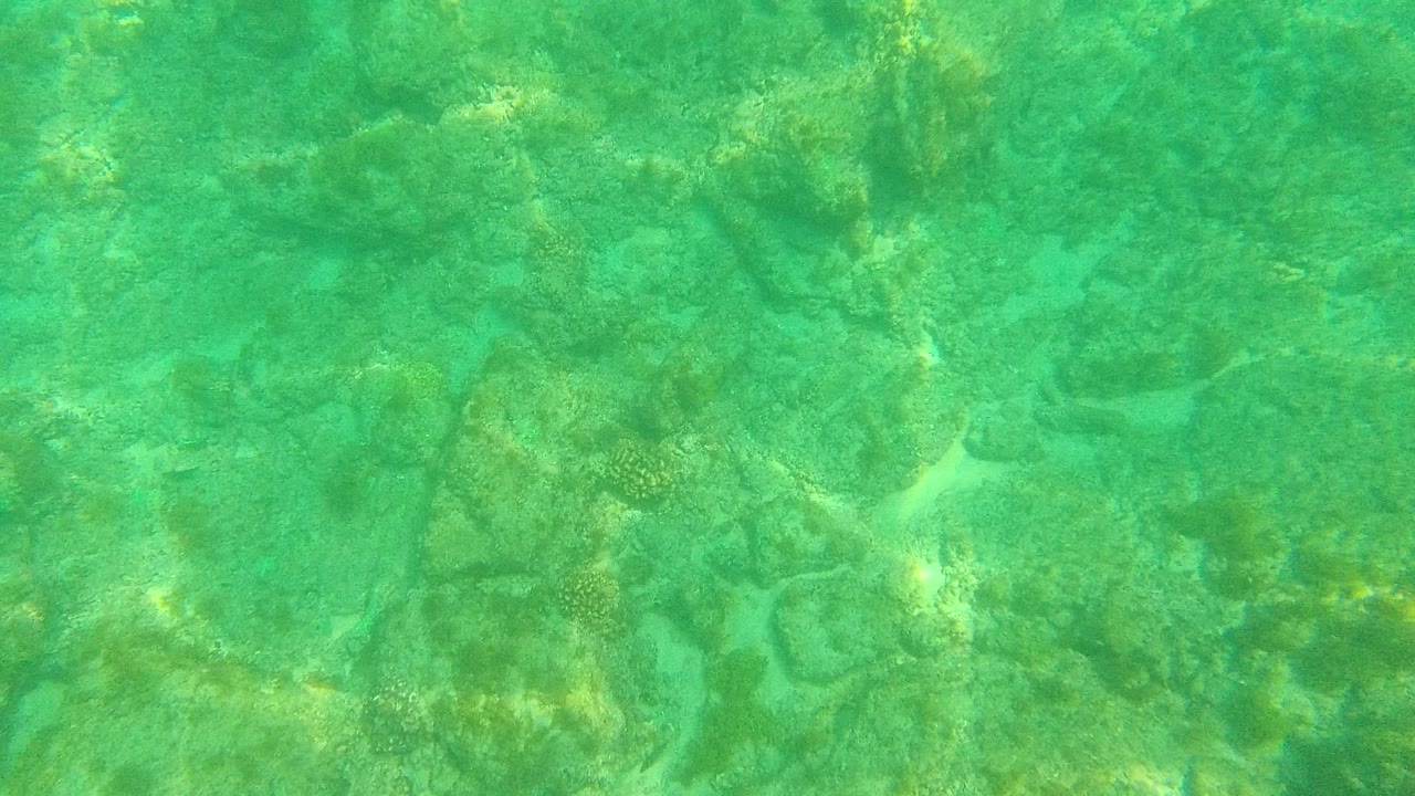 Palmilla Los Cabos underwater frame with green-turquoise water, scattered rocks, soft light ripples, and no visible people.