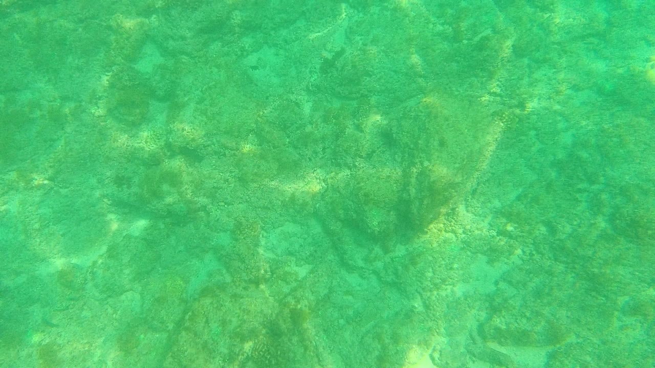 Underwater view in Palmilla Los Cabos with transparent turquoise water revealing darker rock clusters, sandy gaps, and no visible people.