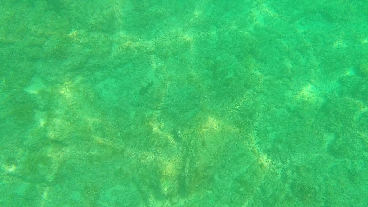 Mid-clip underwater frame from Palmilla Los Cabos showing aqua water, uneven rocks, pale sandy areas, and no visible people.