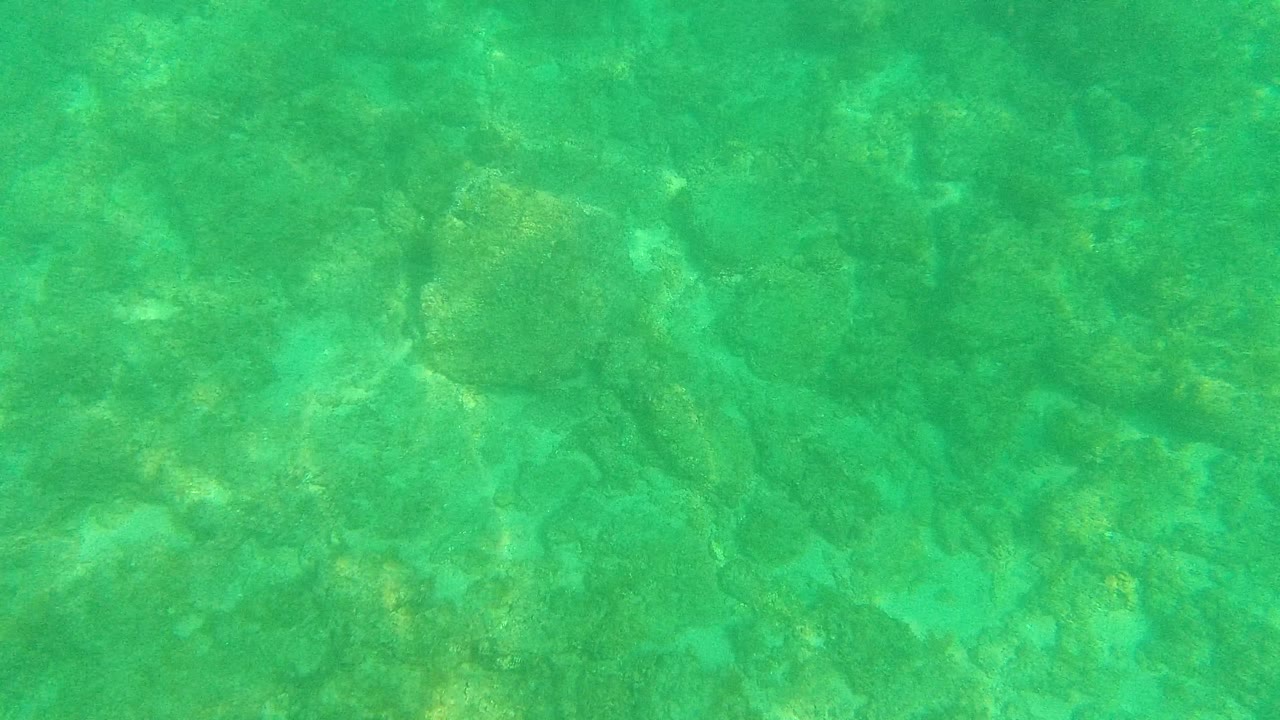 Mid-clip underwater view from Palmilla Los Cabos with a rocky seabed, clear turquoise water, shifting light bands, and no visible people.