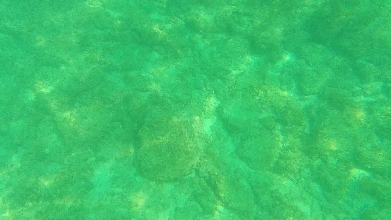 Palmilla Los Cabos underwater frame where darker rocks sit under clear green water with pale sun patterns and no visible people.