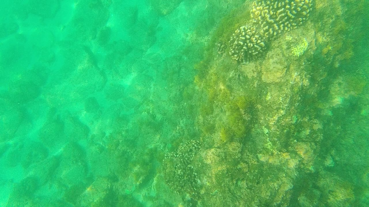 Turquoise shallow water over coral and rock formations