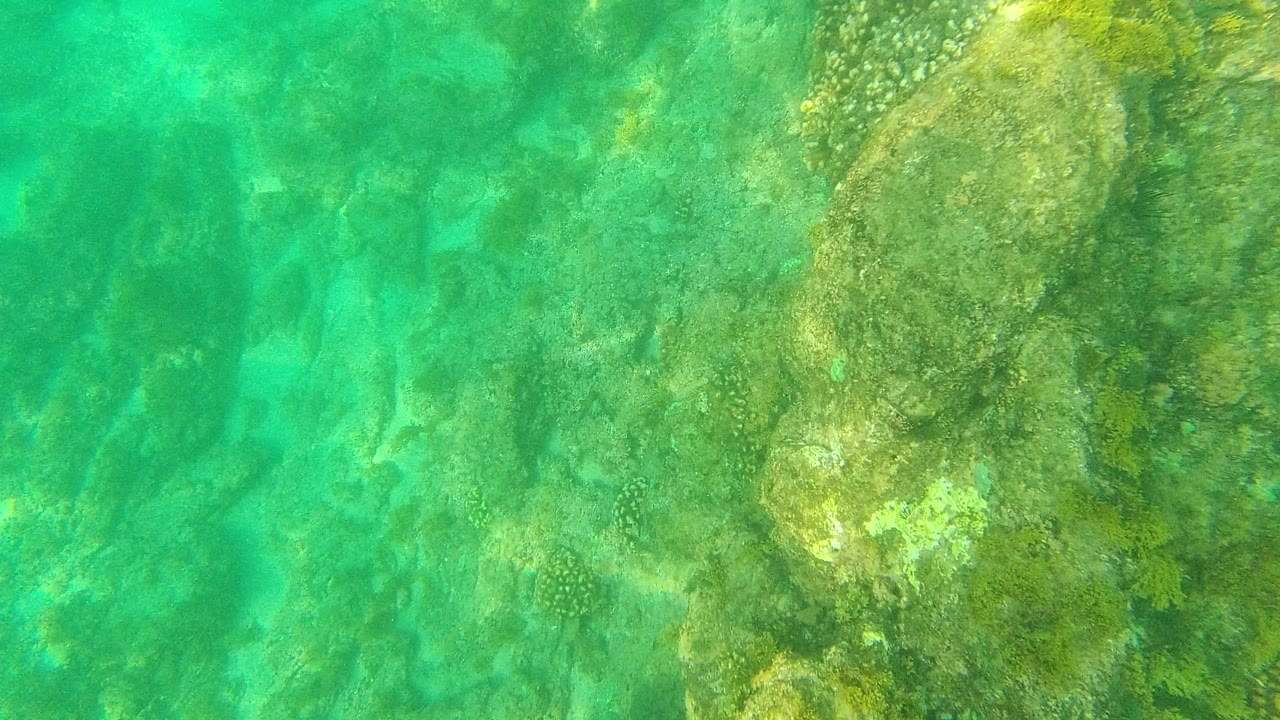Palmilla Los Cabos underwater frame showing a broad rock formation on the right, open blue-green seabed on the left, and no visible people.