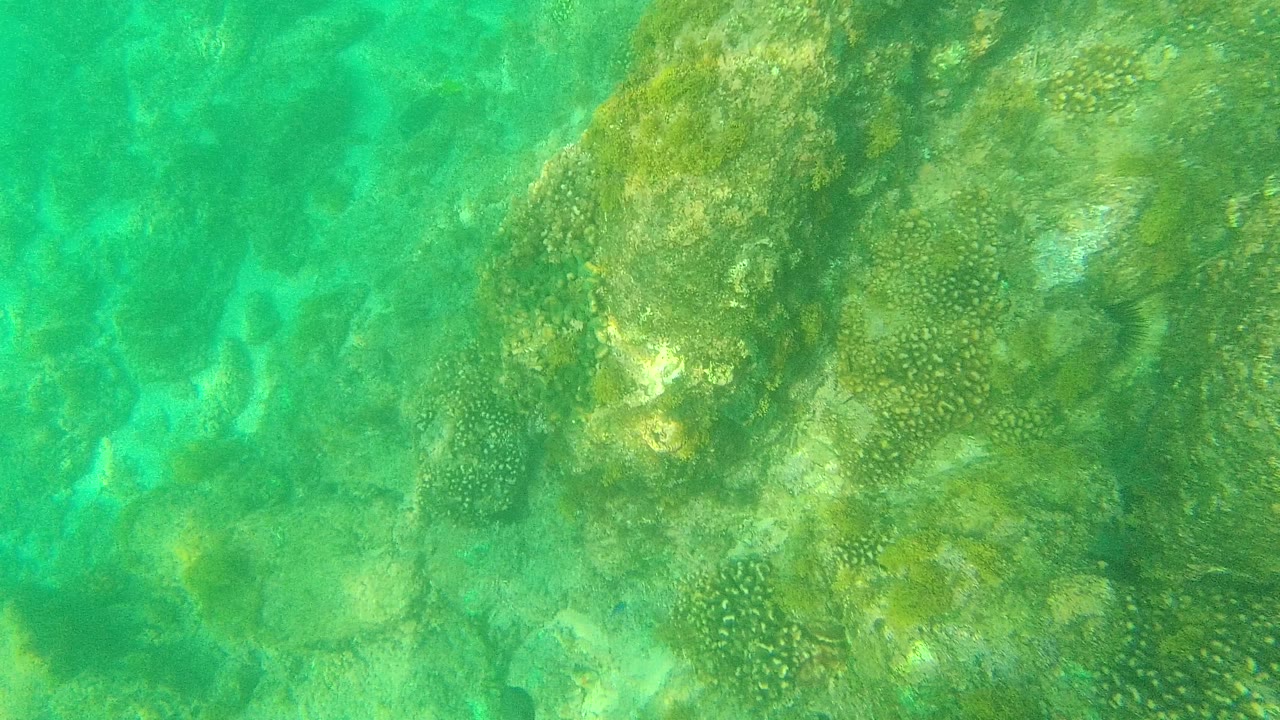 Turquoise water over coral reef and rocky seabed