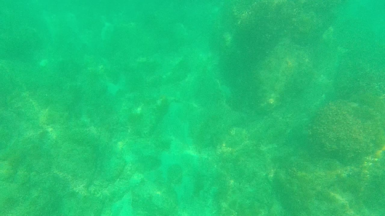 Palmilla Los Cabos reef frame with turquoise water, mottled rocks, coral growth, and faint small fish over the seabed, with no visible people.