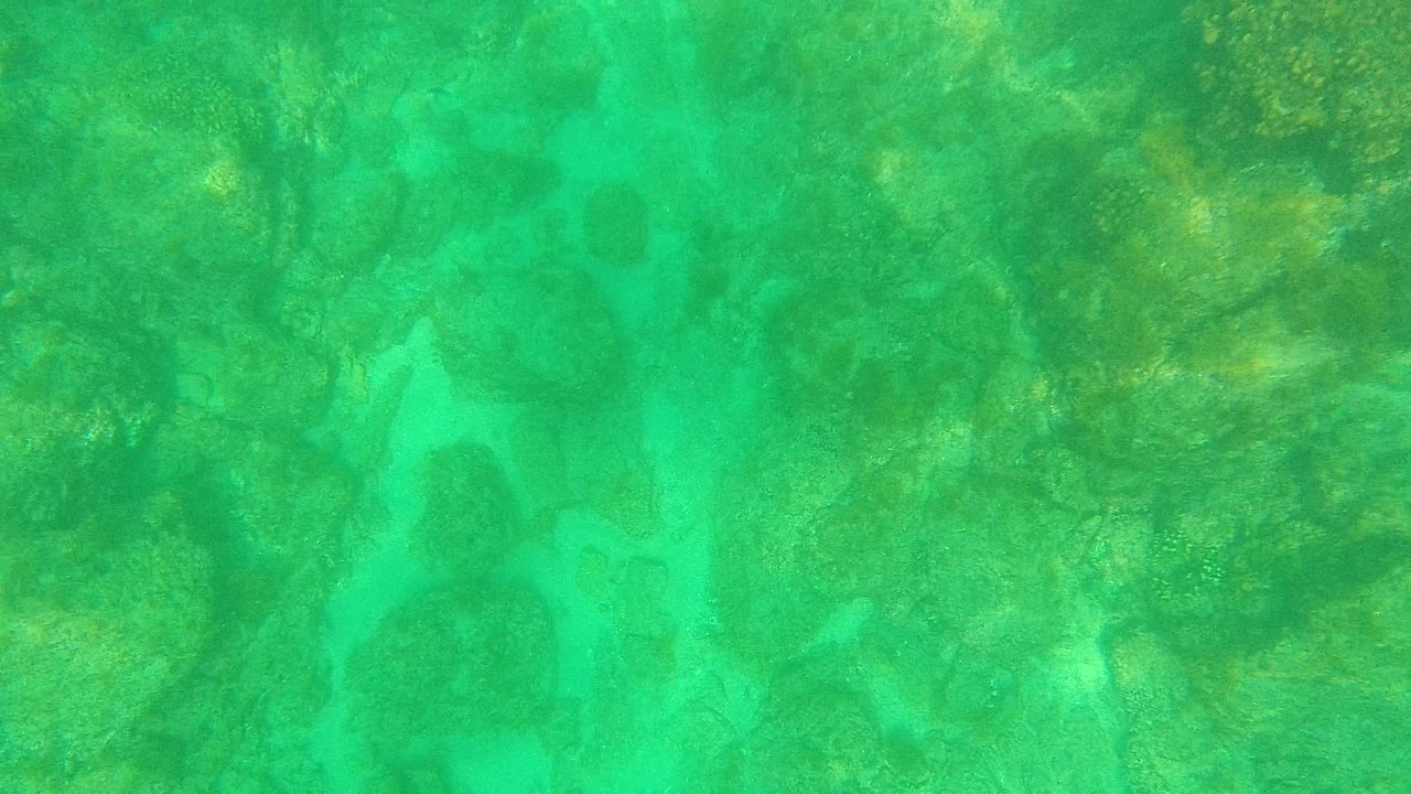 Palmilla Los Cabos reef frame showing clear green-blue water above darker rock patches, coral heads, and a pale sandy channel, with no visible people.