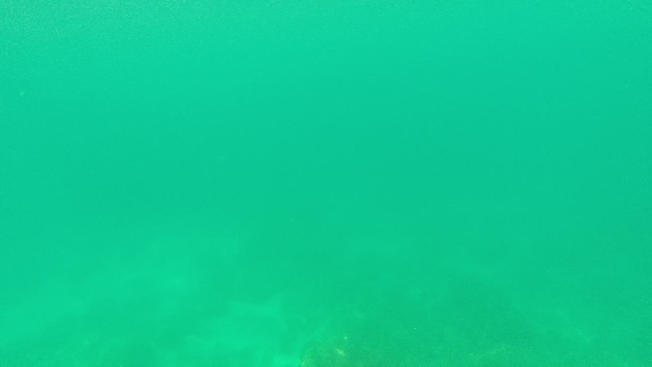At Palmilla Los Cabos, clear turquoise water softens the rocky seabed below as the fish becomes harder to distinguish, with no visible people.
