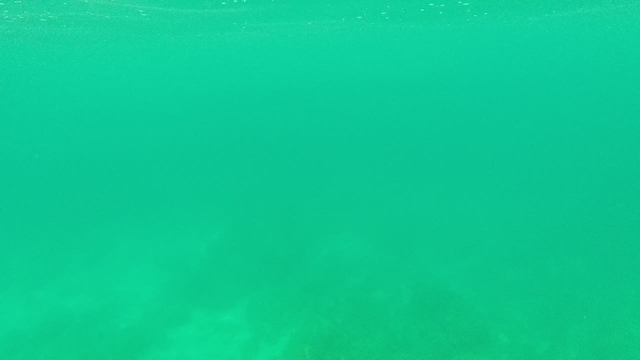 At Palmilla Los Cabos, the frame holds on green-blue underwater space and a low rocky seabed after the fish movement has mostly cleared, with no visible people.