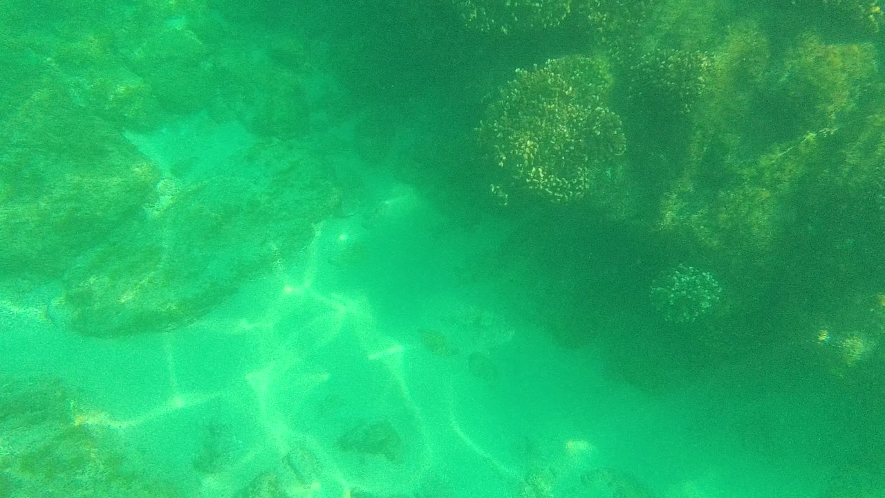 Turquoise underwater reef with sand patches and sunlight ripples