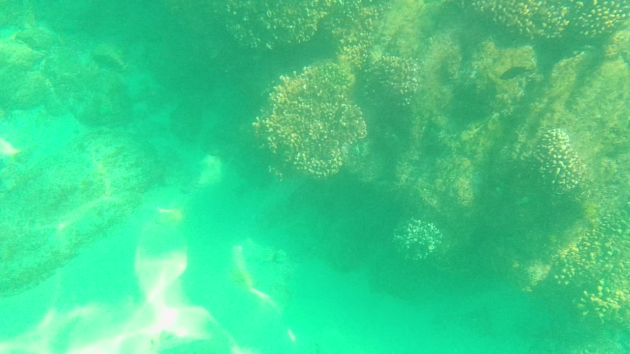 Palmilla Los Cabos underwater view with reef clusters entering from the upper right, clear green-blue water, pale sand, and no visible people.