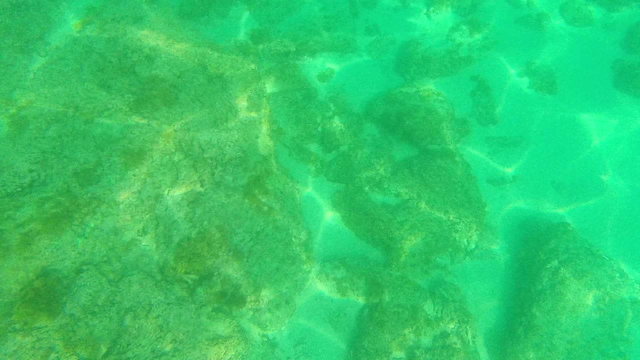 Underwater frame in Palmilla Los Cabos, Mexico with clear green water, a broad central rock formation, pale sand gaps, and bright surface-light patterns, with no visible people.