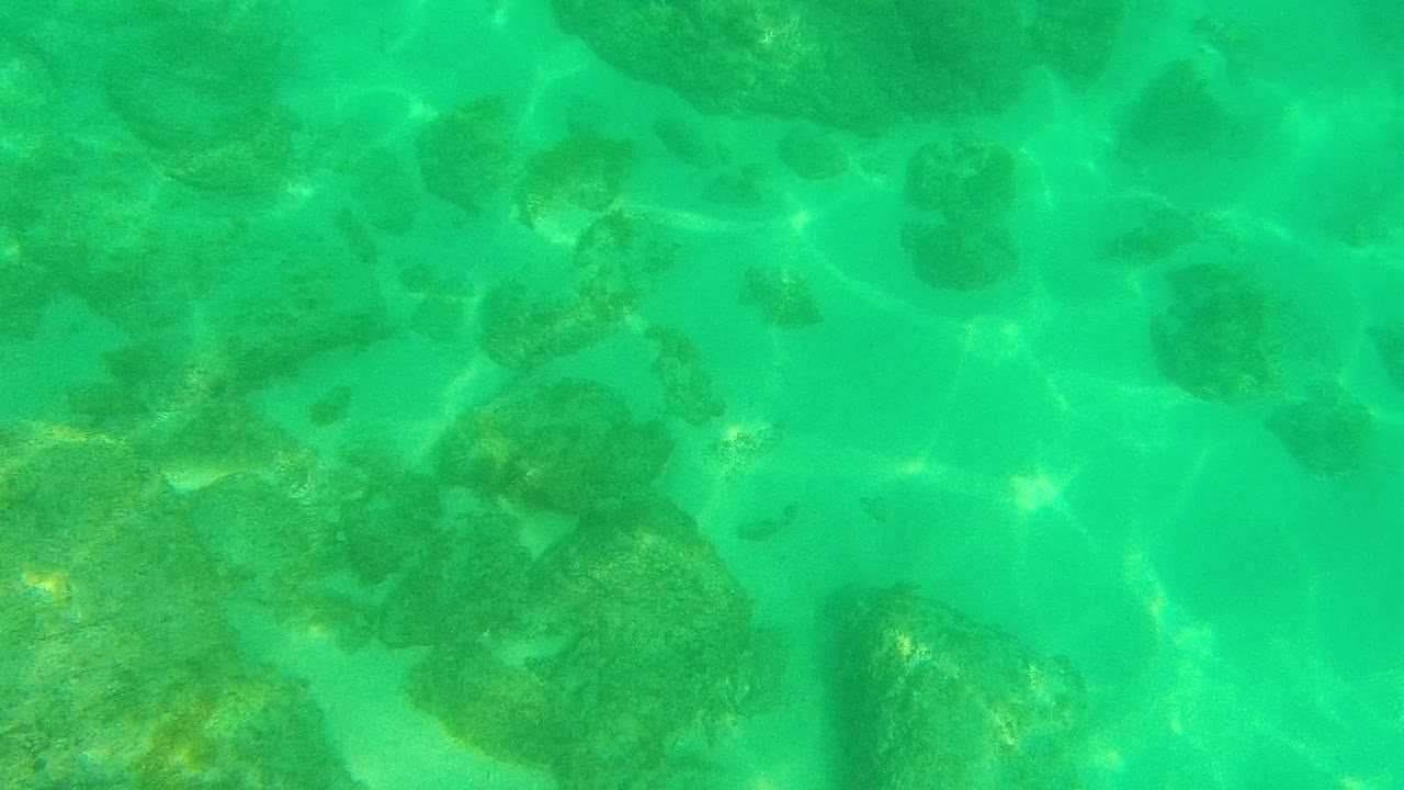 Palmilla Los Cabos underwater view with clustered rocks across a turquoise seabed, thin sandy channels, and shifting light ripples, with no visible people.