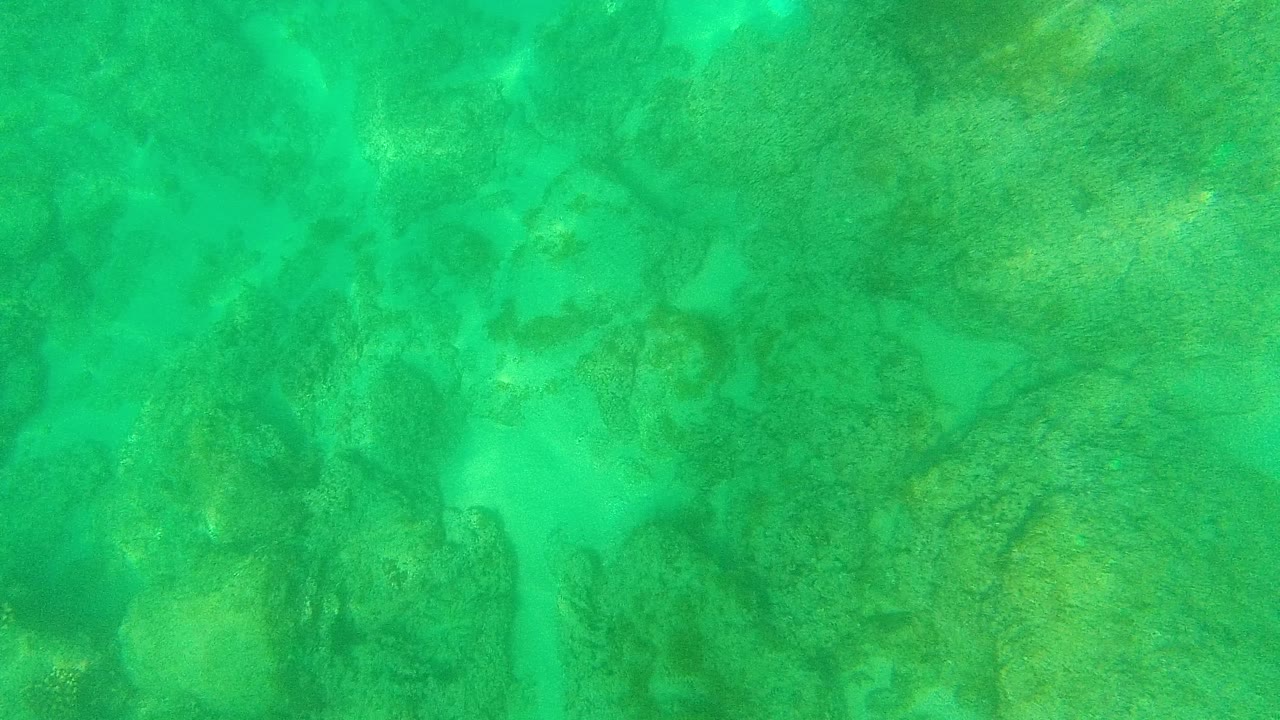 Turquoise-green underwater view in Palmilla Los Cabos showing mottled coral and rocky seabed beneath clear water, with no visible people.