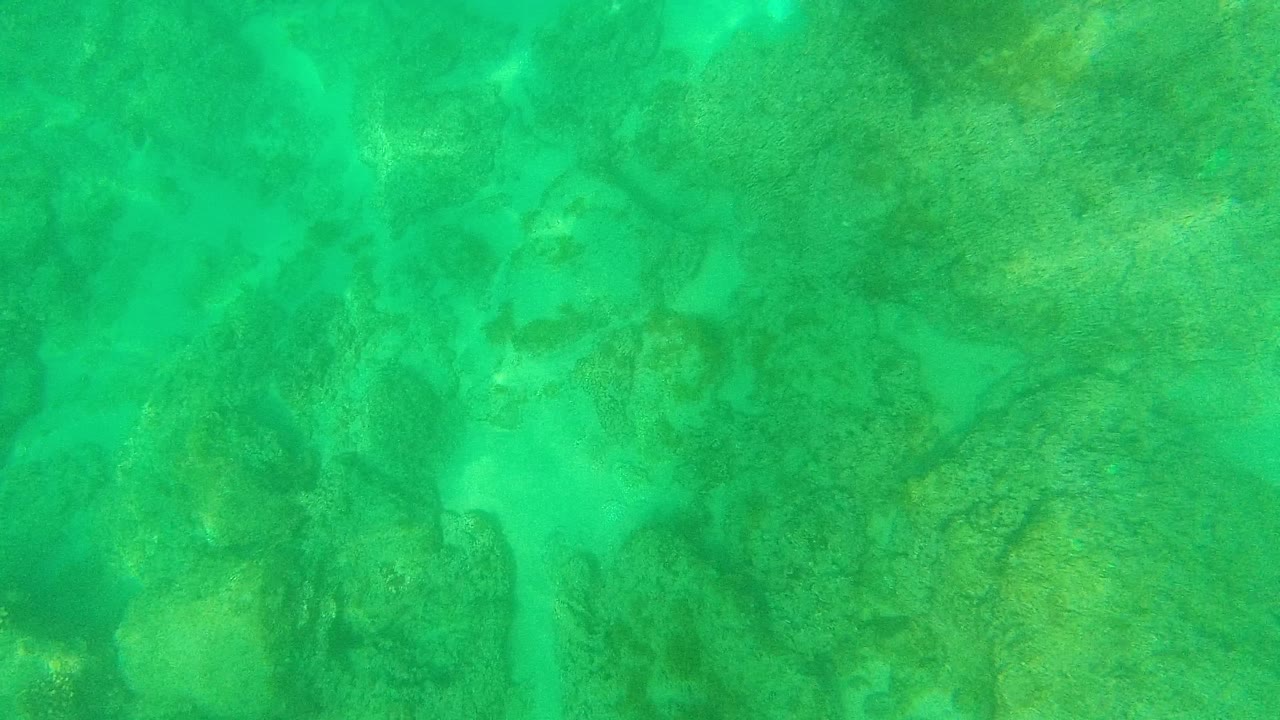 Clear green water covers an uneven coral and rock floor in Palmilla Los Cabos, with soft light patterns and no visible people.