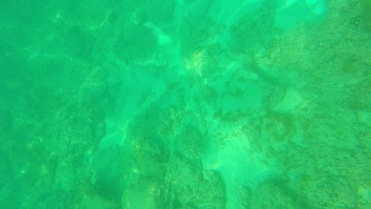 A downward underwater view shows darker rock and coral areas mixed with pale sand pockets in Palmilla Los Cabos, with no visible people.