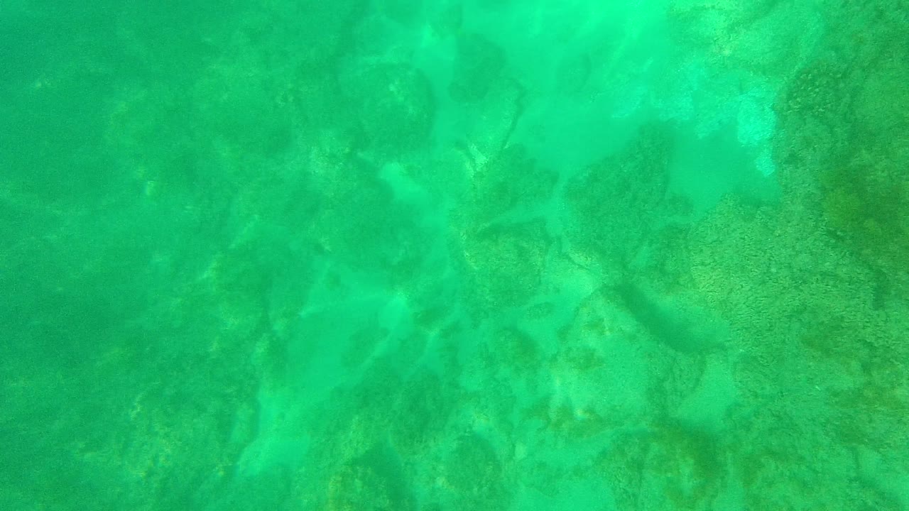 Turquoise water above patchy coral formations