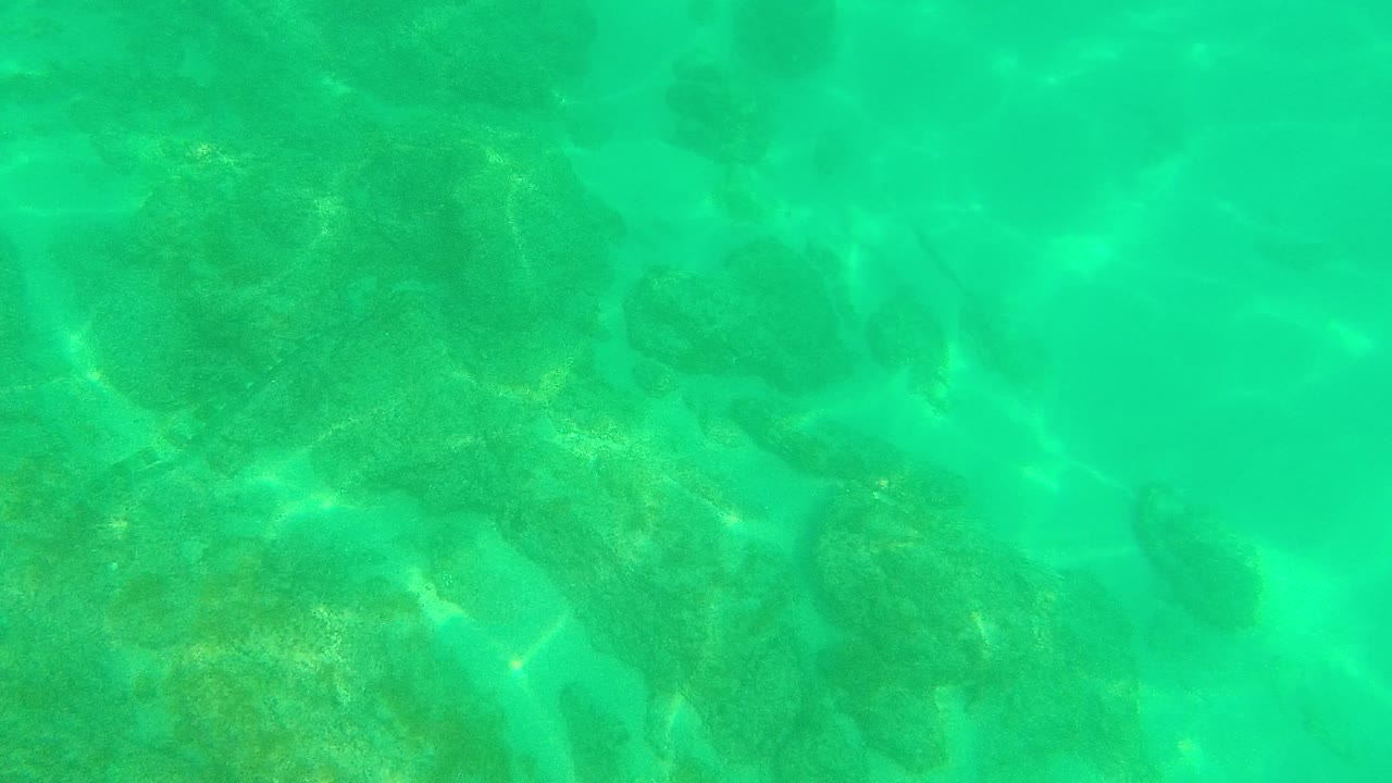 Underwater view in Palmilla Los Cabos, Mexico, with green-blue water, darker rocks below, faint rippled light, and no visible people.