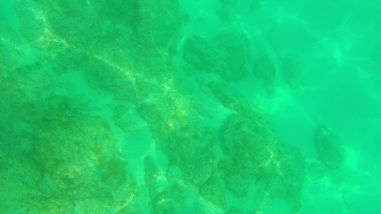 Palmilla Los Cabos underwater frame with a broad cluster of rocks under clear turquoise water, mild light shimmer, and no visible people.